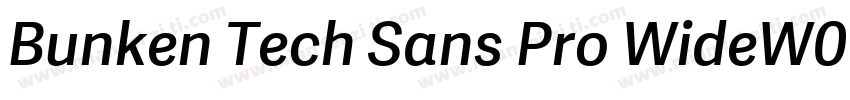 Bunken Tech Sans Pro WideW01SB字体转换